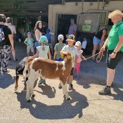 K�lbchen kennen lernen 